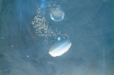 freeimages.com nuotr.