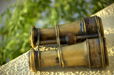 freeimages.com nuotr.