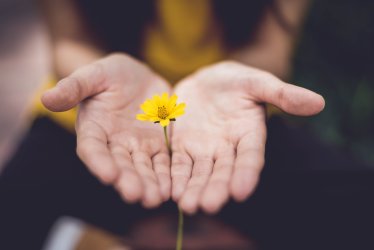 Asociatyvi nuotrauka iš Unsplash.com